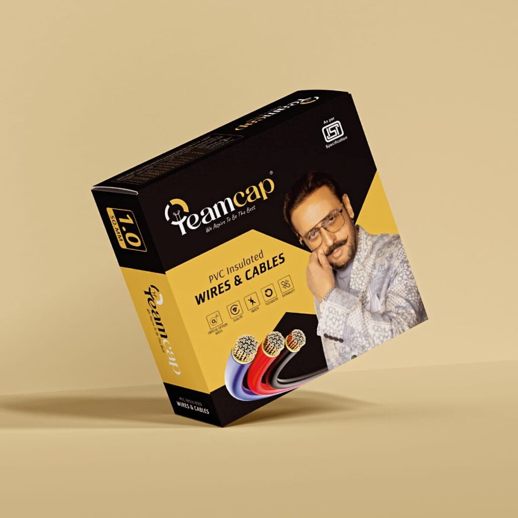 celebrity management company Celebrity Brand Endorsement Company In Mumbai